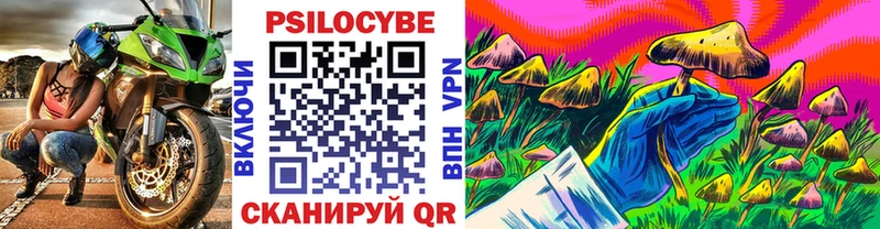 Псилоцибиновые грибы Cubensis  Малмыж 